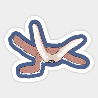 Sea star moving (its legs are up we see its mouth)) Sticker